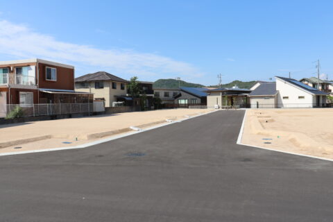コモド 吉田